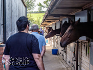 DS091023-66 - Dan Skelton stable visit